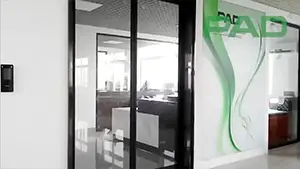 Automatic Swing Door
